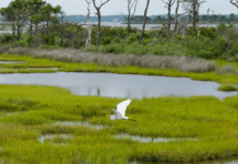 Crues, chatgpt et épicerie : les 10 bonnes nouvelles de la semaine