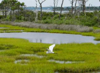 Crues, chatgpt et épicerie : les 10 bonnes nouvelles de la semaine