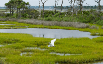 Crues, chatgpt et épicerie : les 10 bonnes nouvelles de la semaine