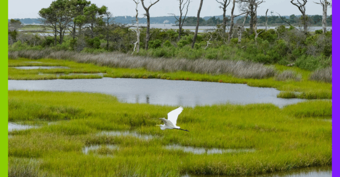 Crues, chatgpt et épicerie : les 10 bonnes nouvelles de la semaine