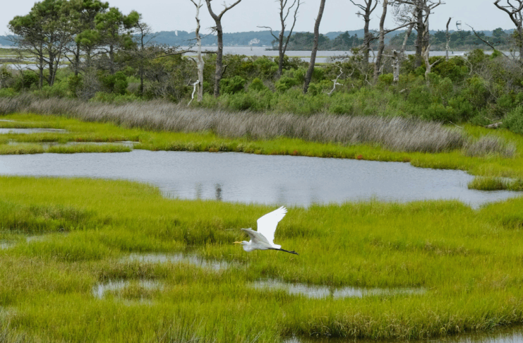Crues, chatgpt et épicerie : les 10 bonnes nouvelles de la semaine