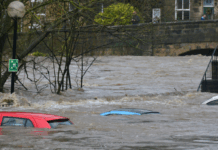 Ynsect, LFI et crues : les 10 infos de la semaine