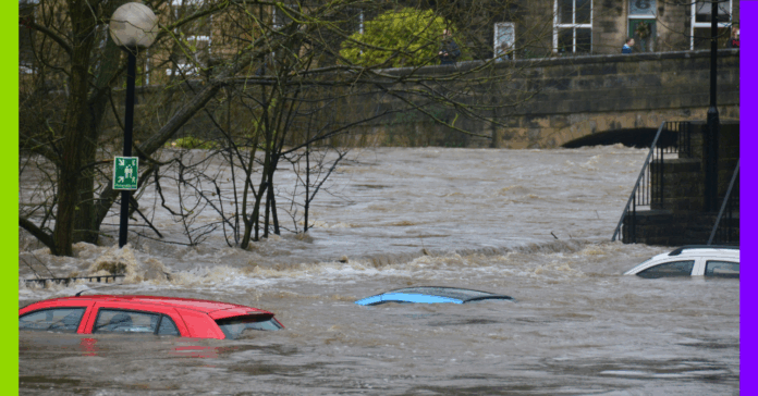 Ynsect, LFI et crues : les 10 infos de la semaine