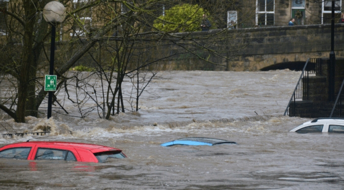 Ynsect, LFI et crues : les 10 infos de la semaine