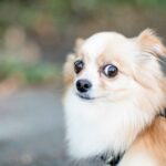 michelle-tresemer-MjKUUaYQQ6U-unsplash_11zon