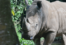Sécu, climat et contre-loi : les 10 bonnes nouvelles de la semaine