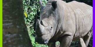 Sécu, climat et contre-loi : les 10 bonnes nouvelles de la semaine