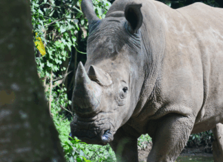 Sécu, climat et contre-loi : les 10 bonnes nouvelles de la semaine