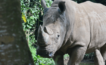 Sécu, climat et contre-loi : les 10 bonnes nouvelles de la semaine