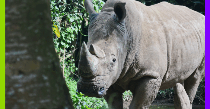 Sécu, climat et contre-loi : les 10 bonnes nouvelles de la semaine
