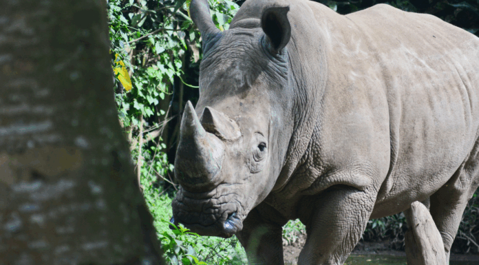 Sécu, climat et contre-loi : les 10 bonnes nouvelles de la semaine