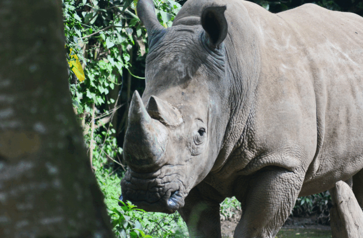 Sécu, climat et contre-loi : les 10 bonnes nouvelles de la semaine