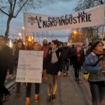 signal-2025-12-17-190353_003-800px