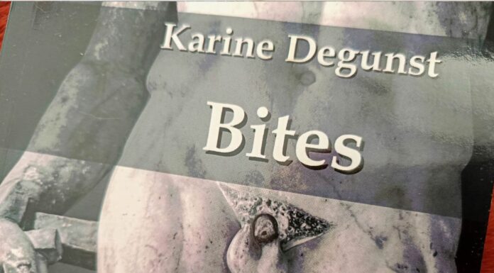 « Bites », un roman mordant contre le masculinisme