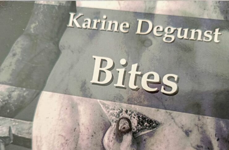 « Bites », un roman mordant contre le masculinisme