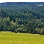 Porcherie industrielle à Vassivière : menace sur les lacs, les habitant·es et leurs activités