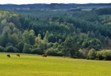 Porcherie industrielle à Vassivière : menace sur les lacs, les habitant·es et leurs activités Porcherie industrielle à Vassivière : menace sur les lacs, les habitant·es et leurs activités