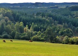Porcherie industrielle à Vassivière : menace sur les lacs, les habitant·es et leurs activités Porcherie industrielle à Vassivière : menace sur les lacs, les habitant·es et leurs activités