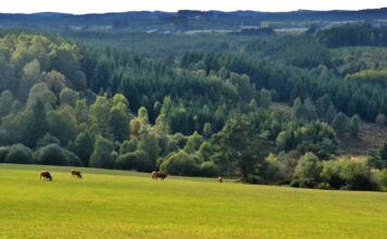 Porcherie industrielle à Vassivière : menace sur les lacs, les habitant·es et leurs activités Porcherie industrielle à Vassivière : menace sur les lacs, les habitant·es et leurs activités