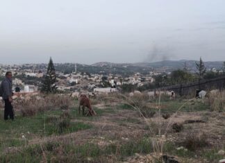 Récit d’un voyage solidaire en Cisjordanie