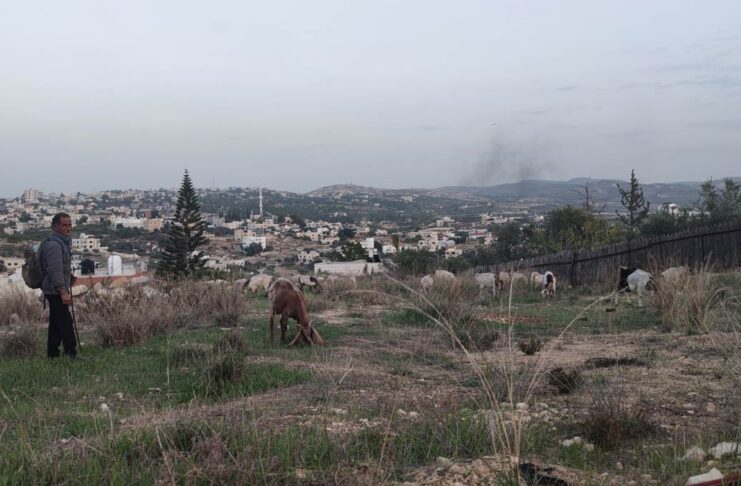 Récit d’un voyage solidaire en Cisjordanie