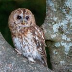 andy-willis-zhTT6Q3TYT0-unsplash_11zon_11zon