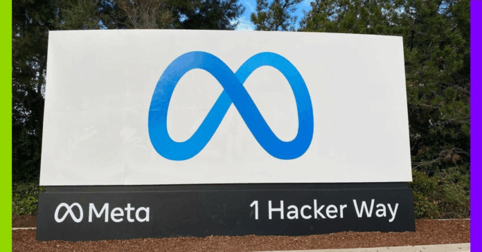 VSS, Meta et Stérin : les 10 infos de la semaine