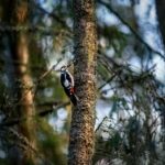 erik-karits-KVhNrX9pqJo-unsplash_11zon