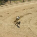 Les courses commerciales de lévriers sont encore répandues dans de nombreux pays ©Wikipedia