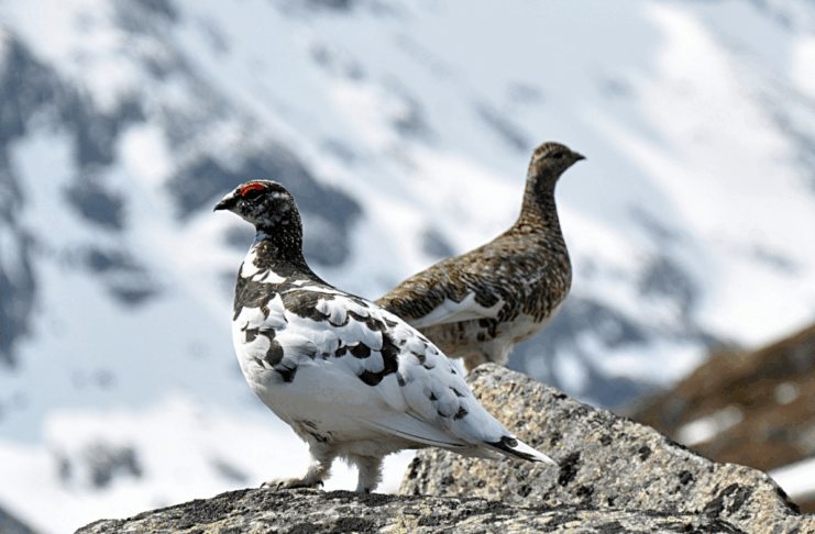 Chasse, avortement et fleuve : les 10 bonnes nouvelles