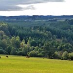 Plateau_de_Millevaches,_près_de_Saint-Setiers