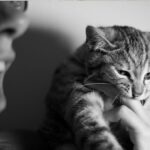 Quand la maltraitance animale muselle la victime de violences conjugales