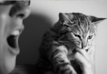 Quand la maltraitance animale est signe de violences conjugales Quand la maltraitance animale muselle la victime de violences conjugales