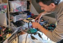 En Bretagne, un artiste redonne vie à nos déchets En Bretagne, un artiste redonne vie à nos déchets