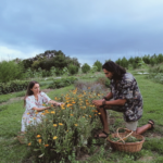 Au Pays basque, Marjorie et Axel cultivent des plantes médicinales loin de l’agriculture dominante
