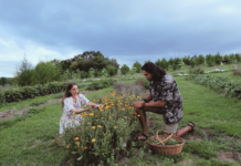 Au Pays basque, Marjorie et Axel cultivent des plantes médicinales loin de l’agriculture dominante Au Pays basque, Marjorie et Axel cultivent des plantes médicinales loin de l’agriculture dominante