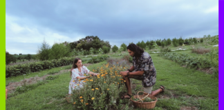 Au Pays basque, Marjorie et Alex cultivent des plantes médicinales loin de l’agriculture dominante Au Pays basque, Marjorie et Axel cultivent des plantes médicinales loin de l’agriculture dominante