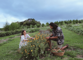 Au Pays basque, Marjorie et Axel cultivent des plantes médicinales loin de l’agriculture dominante Au Pays basque, Marjorie et Axel cultivent des plantes médicinales loin de l’agriculture dominante