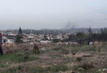 Récit d’un voyage solidaire en Cisjordanie