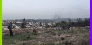 Récit d’un voyage solidaire en Cisjordanie