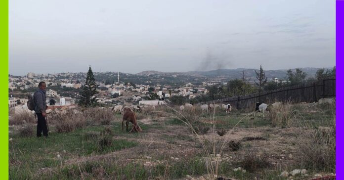 Récit d’un voyage solidaire en Cisjordanie