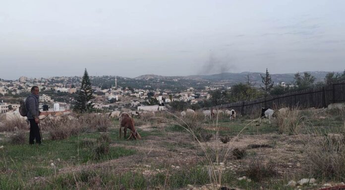 Récit d’un voyage solidaire en Cisjordanie
