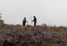 « La Terre de mon grand-père » : l’amour des arbres et de la vie