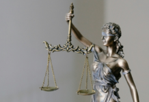 Elections, Yadan et Meta : les 10 infos de la semaine