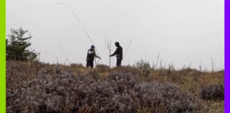 « La Terre de mon grand-père » : l’amour des arbres et de la vie