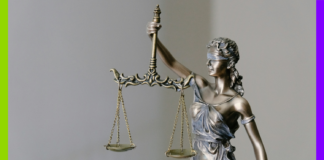 Elections, Yadan et Meta : les 10 infos de la semaine