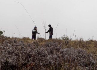 « La Terre de mon grand-père » : l’amour des arbres et de la vie