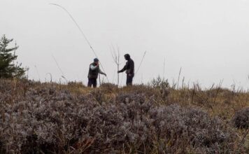 « La Terre de mon grand-père » : l’amour des arbres et de la vie