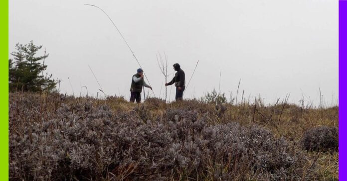 « La Terre de mon grand-père » : l’amour des arbres et de la vie