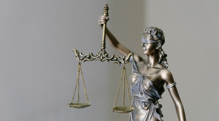 Elections, Yadan et Meta : les 10 infos de la semaine